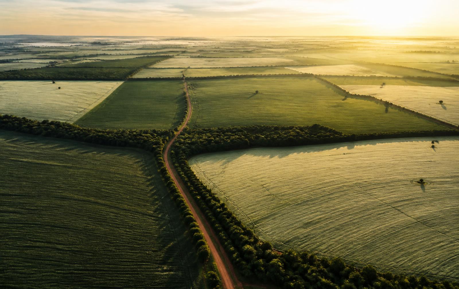 Terra recém-arada ao lado de lavoura verde, vista de cima